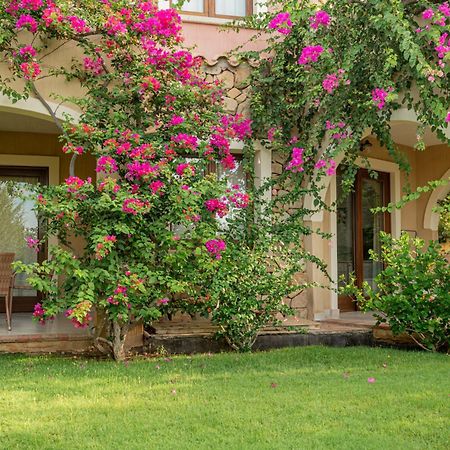 Hotel Mariposas Вилласимиус Экстерьер фото